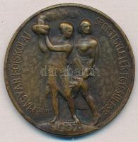 Sződy Szilárd (1878-1939) 1938. "Magyar Főiskolai Sportegyletek Egyesülése - 1907" Br díjérem, "LUDVIG" gyártói jelzéssel (40,5mm) T:2 patina