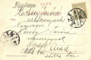 1905 Sopron, Domonkos templom. Kiadja Blum N. (apró szakadás / tiny tear)