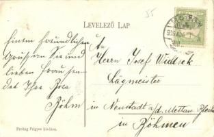 1906 Moson, Fő utca, Otthon kávéház. Kiadja Freitag Frigyes (EK)