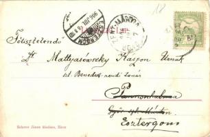 1906 Zirc, Park. Kiadja Scherer János (kis szakadás / small tear)