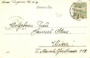 1905 Szeged, Erzsébet királyné liget (EK)