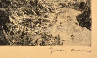 Gross Arnold (1929-2015): Madarak kertje. Rézkarc, papír-karton, jelzett, foltos, 29×38 cm