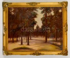 Mednyánszky jelzéssel: Fenyőerdő. Olaj, karton, keretben, 37×58 cm