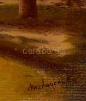 Mednyánszky jelzéssel: Fenyőerdő. Olaj, karton, keretben, 37×58 cm