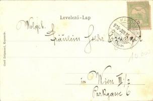 1905 Kaposvár, Korona utca, Spitzer Emil, Weinberger üzlete. Magyar zászlós litho keret, kiadja Gerő...