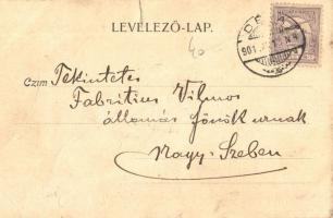 1900 Déva, Deva; utcakép, Holtzer Károly, Szőcs F. Lajos, Hirsch Testvérek üzlete, háttérben a vár. ...