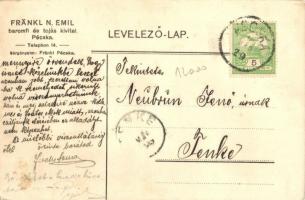 Pécska, Petschka, Pecica; Fränkl N. Emil baromfitenyészet és tojás kivitel üzlete, kert baromfiudvar...