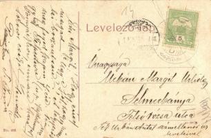 Vajdahunyad, Hunedoara; vár. W.L. (?) No. 482. / castle (EB)