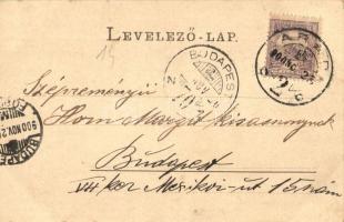 1900 Arad, Thököly tér, Hoffmann, Schwarz R., Ifj. Löwy Ármin üzlete, piaci árusok. Römmler & Jo...