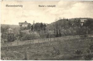 Marosvásárhely, Targu Mures; Részlet a Trébelyből, villák. Kiadja Porjes S. Sándor / villa (EK)