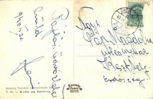 Vízköz, Ökörmező-Vízköz, Soimi, Szojmi; Gyógyfürdő. Steinberg Testvérek kiadása / spa + kétnyelvű bé...