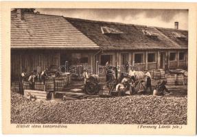 Meggyesfalva, Mureseni; Hullott alma konzerválása. Erdélyrészi Hangya Szövetkezet kiadása, Ferenczy László felvétele / conservation of the fallen apples