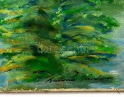 Katona jelzéssel: Hegyi folyó. Olaj, vászon, 60×40 cm