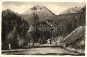 Tátra, Tatry; Gerlachfalvi-csúcs / Gerlachovsky stít / mountain peak (EK)