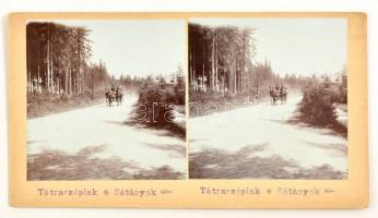 1905 Tátraszéplak (Tatranska Polianka), Sétányok, sztereófotó, 10x18 cm