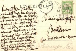 Meggyesfalva, Mureseni; Lázár kastély. Gróf Lázár-Bissingen Nóra levele / castle (fl)