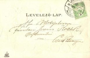 1912 Csáktornya, Cakovec; Muraközi-hegyvidéki Állami szőlőtelep; szőlős dombornyomott litho keret, k...