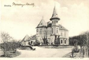 Marosberkes, Birkis, Birchis; Mocsónyi-kastély / castle (EK)