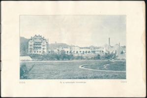cca 1900 Vízakna állami sósgyógyfürdő képes ismertető 30 p. Ázott