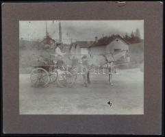 1906 Tarcsa, lovaskocsi, fotó kartonon, 10,5x13 cm