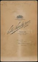 cca 1890-1900 gróf Batthány József (1858-1922) földbirtokos, országgyűlési képviselő díszmagyaros po...