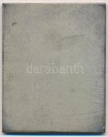 ~1930. "Magyar Dobermannosok" ezüstözött Br emlékplakett eredeti dísztokban (40x49,5mm) T:...