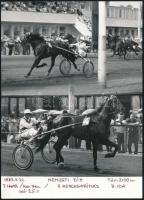 1981, 1983 Budapest, Ügető, lóversenyek, 2 db fotó feliratozva, 18×13  és 24×18 cm