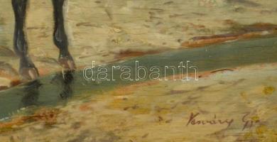 Vasváry jelzéssel: Arab lovas. Olaj, falemez, üvegezett keretben, 33×27 cm