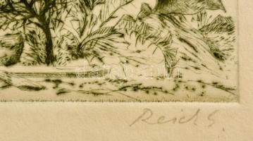 Reich Gábor (1951- ): Bagoly és veréb. Rézkarc, papír. Sorszámozott 75/100. Jelzett. 30x20 cm