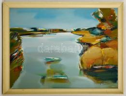 Végh András (1940-): Holt Duna. Olaj, farost, jelzett, keretben, 60×80 cm