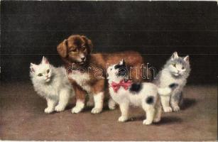 Cats with a dog. T. S. N. Serie 671. s: Sperlich