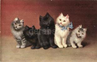 Five cats. T. S. N. Serie 648. s: Sperlich