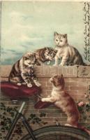 1901 Cats playing with a bicycle seat. Serie 176. litho