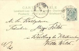 1901 Cats playing with a bicycle seat. Serie 176. litho