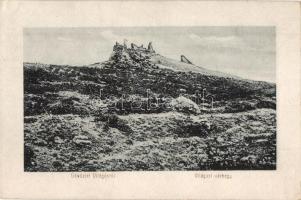Világos, Siria; Világosi várhegy és vár / Cetatea Siriei / castle (EK)