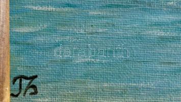 Fantha Györgyné Tatai Zsuzsanna (1938): Szörfös. Olaj, farost. 17x24 cm Keretben