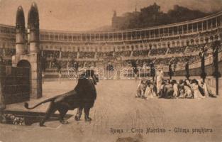 64 db RÉGI olasz városképes lap / 64 pre-1945 Italian town-view postcards