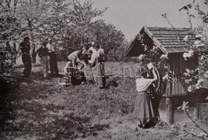 Szőnyi művek újra itthon. Szőnyi István (1894-1960) művei Szőnyi Zsuzsa gyűjteményében. Zebegény 200...