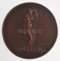 Esseő Erzsébet (1883-1954) 1923. "Die Schwarze Schmach (Fekete Szégyen) 1919-1923" Br emlé...