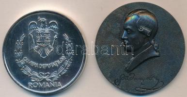 Vegyes: Szovjetunió DN Penza fém emlékérem (60mm) + Románia DN Román Parlament ezüstözött fém emlékérem dísztokban (55mm) T:2,1- Mixed: Soviet Union ND Penza metal commemorative medal (60mm) + Romania ND Parliament of Romania silver plated commemorative medal in case (55mm) C:XF,AU