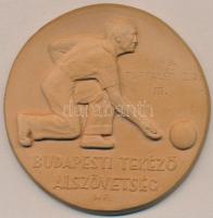 Matzon Frigyes (1909-1986) 1949. Budapesti Tekéző Alszövetség kerámia emlékérem (75mm) T:2