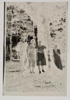 cca 1930-1940 Vegyes fotónegatív tétel: csoportképek, portrék, tájképek, stb., 4 csomagban, összesen...