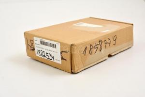 Fosszíliák kőzetben, falra akasztható, 14×25 cm