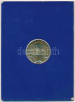 Izrael ~1981. Aranyozott háborús? fém emlékérem, eredeti csomagolásban (24mm) T:1
Israel ~1981. Gol...