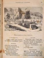 Pongrácz Eszter: Igaz isteni szeretetnek harmatjából nevelkedett drága kövekkel kirakott arany koron...