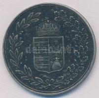 ~1900. "Fél napi munka" fém elszámolási bárca T:2 kis ph