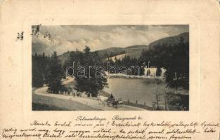 Selmecbánya, Schemnitz, Banská Stiavnica; Rossgrundi tó. Joerges 1910. / Rozgrundské jazero / lake (kopott sarkak / worn corners)