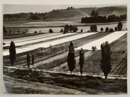 cca 1979 Gebhardt György (1910-1993) budapesti fotóművész hagyatékából 2 db vintage fotóművészeti al...