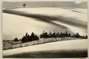 cca 1976 Gebhardt György (1910-1993) budapesti fotóművész hagyatékából feliratozott, vintage fotóművészeti alkotás (Mezőgazdaság), 27,5x39,5 cm
