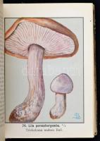 Szemere László: Gombaszedők kézikönyve. 250 gomba leírása, 50 színes képpel és 50 szövegközti ábráva...